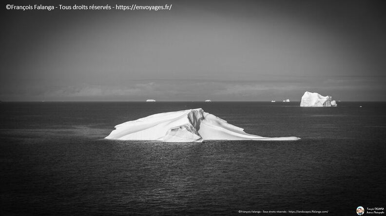 Fsai190820_076-MerDuLabrador.jpg