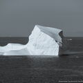 Iceberg in Labrador Sea