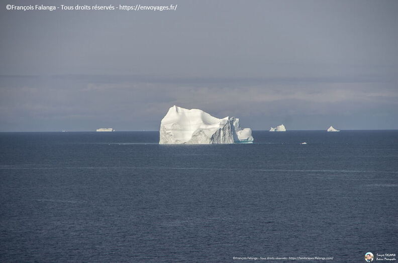 Fsai190820_078-MerDuLabrador.jpg