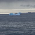 The Ice Horse