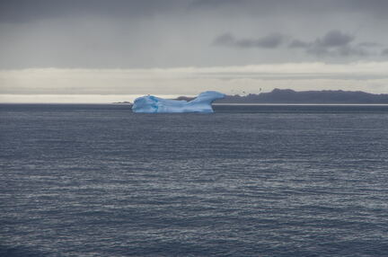 The Ice Horse