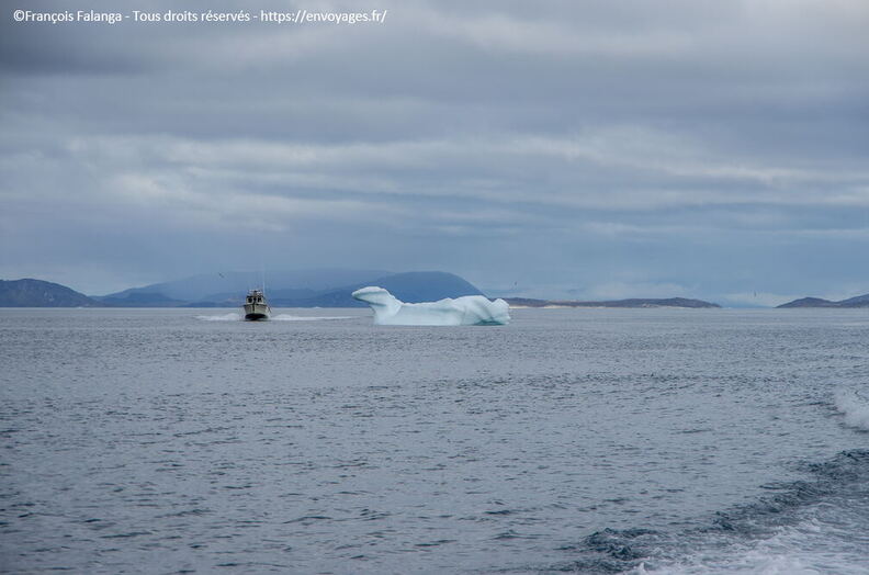 Fsai190819_119-Nuuk.jpg