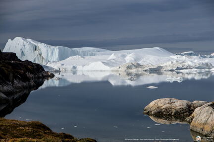 Ice reflection