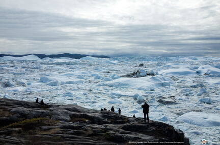 The Icebergs factory