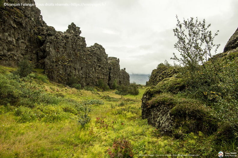 Fsai190827_072-Islande-Pingvellir.jpg