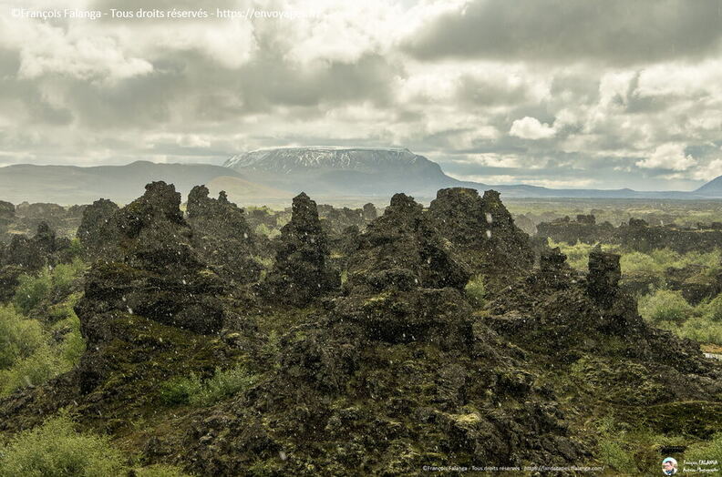 Fsai190815_066-Islande-Akureyri.jpg