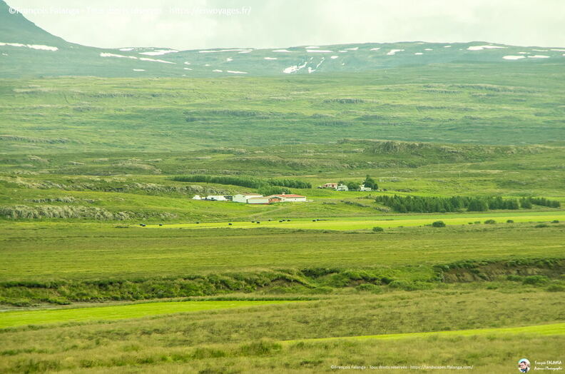 Fsai190814_087-Islande-Seydisfjordur.jpg