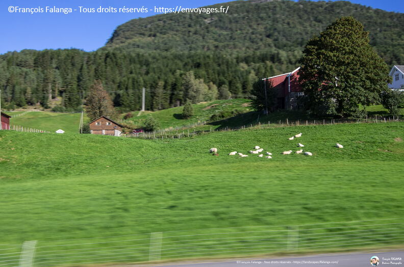 Fsai190909_065-Norvege-Olden-Tour.jpg