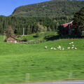 Norvège - Sept 2019