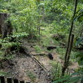 MALAISIE-BORNEO 2023