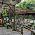 MALAISIE-BORNEO 2023