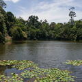 MALAISIE-BORNEO 2023