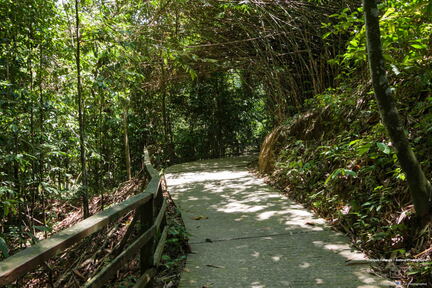 MALAISIE-BORNEO 2023