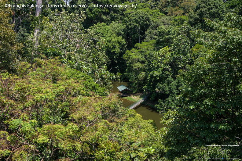 FSAI231001_Borneo_Sepilok_RDC_09.jpg