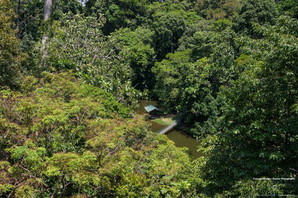 MALAISIE-BORNEO 2023