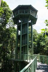 MALAISIE-BORNEO 2023