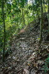 MALAISIE-BORNEO 2023