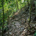 MALAISIE-BORNEO 2023
