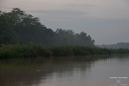 MALAISIE-BORNEO 2023