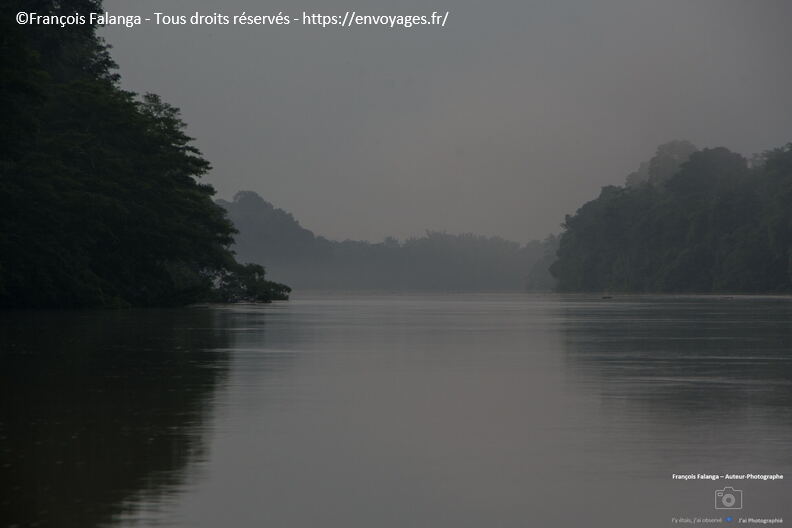 FSAI231001_Borneo_Sukau_Bilit_15.jpg