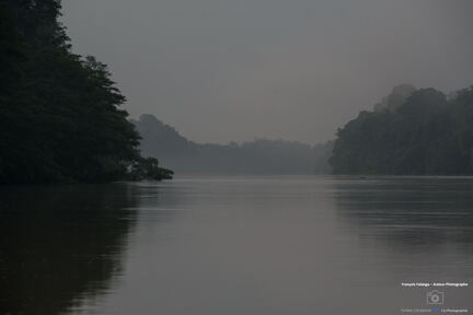 MALAISIE-BORNEO 2023