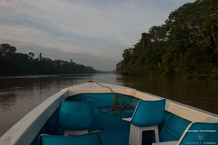 MALAISIE-BORNEO 2023