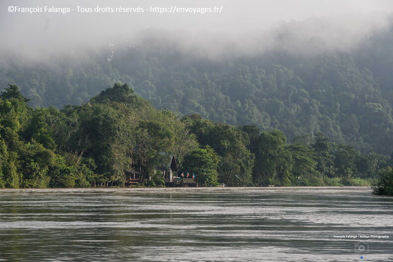 FSAI231001_Borneo_Sukau_Bilit_180.jpg
