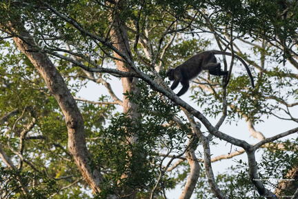 MALAISIE-BORNEO 2023