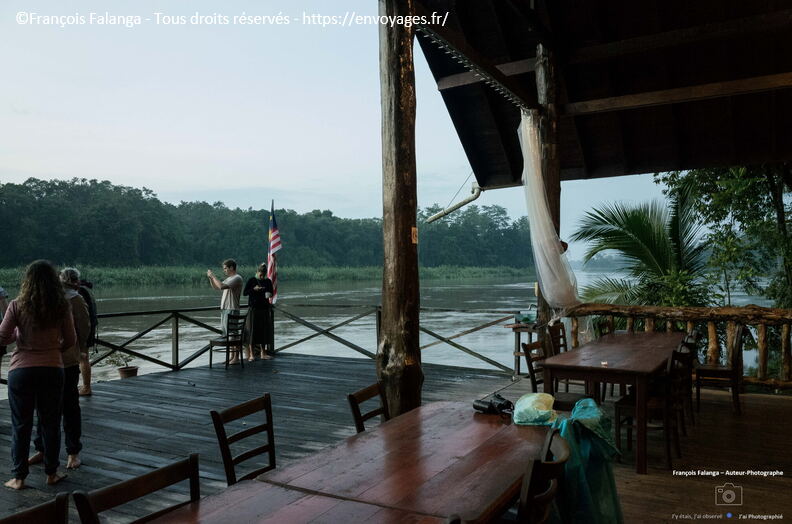 FSAI231001_Borneo_Sukau_Bilit_02.jpg