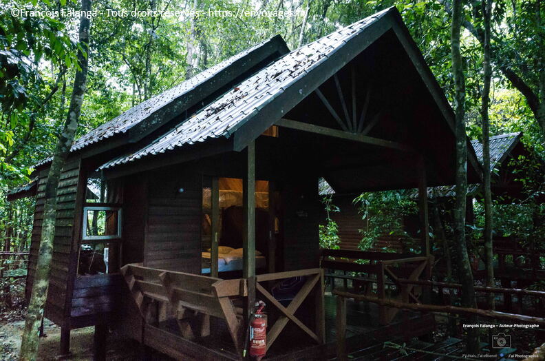 FSAI230930_Borneo_Sukau_Bilit_08.jpg