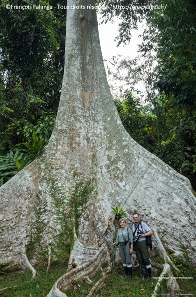 FSAI230926_Borneo_Tabin_34.jpg