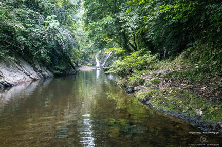 MALAISIE-BORNEO 2023