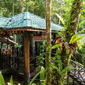 MALAISIE-BORNEO 2023