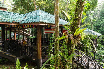 MALAISIE-BORNEO 2023