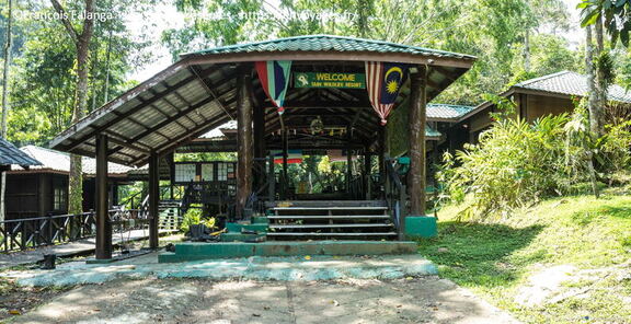 MALAISIE-BORNEO 2023