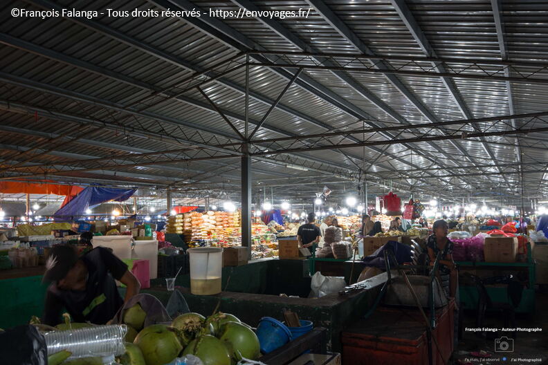 FSAI230924_Borneo_Kota-Kinabalu_17.jpg