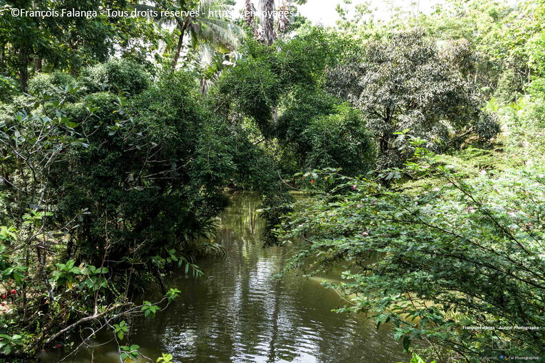 FSAI230929_Borneo_Sepilok_Resort_08.jpg