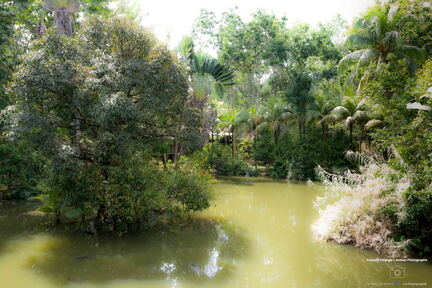 MALAISIE-BORNEO 2023