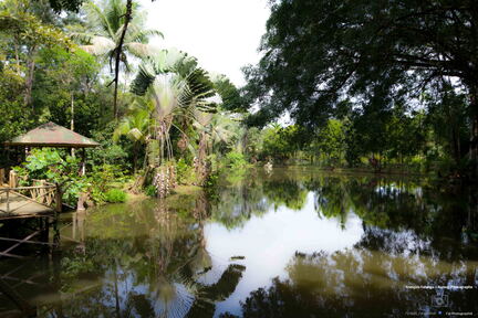 MALAISIE-BORNEO 2023