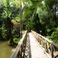 MALAISIE-BORNEO 2023