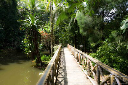 MALAISIE-BORNEO 2023