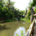MALAISIE-BORNEO 2023