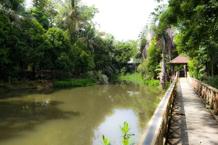 MALAISIE-BORNEO 2023