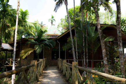 MALAISIE-BORNEO 2023