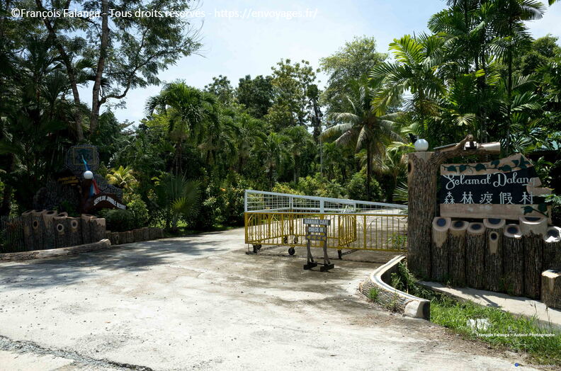 FSAI230929_Borneo_Sepilok_Resort_30.jpg
