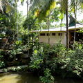 MALAISIE-BORNEO 2023
