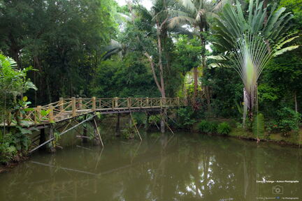 MALAISIE-BORNEO 2023