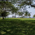 MALAISIE-BORNEO 2023