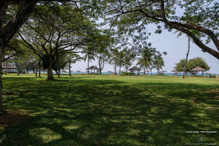 MALAISIE-BORNEO 2023