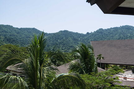 MALAISIE-BORNEO 2023